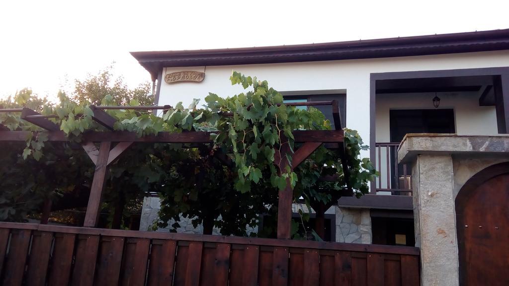 Guesthouse Orlovo Buitenkant foto